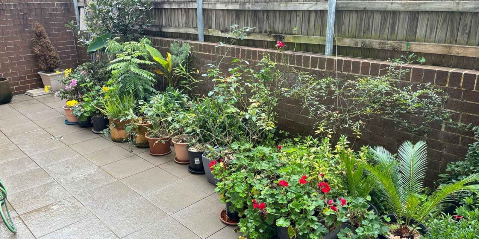 50/16-20 Mercer Street Castle Hill 50/16-20 Mercer Street Castle Hill