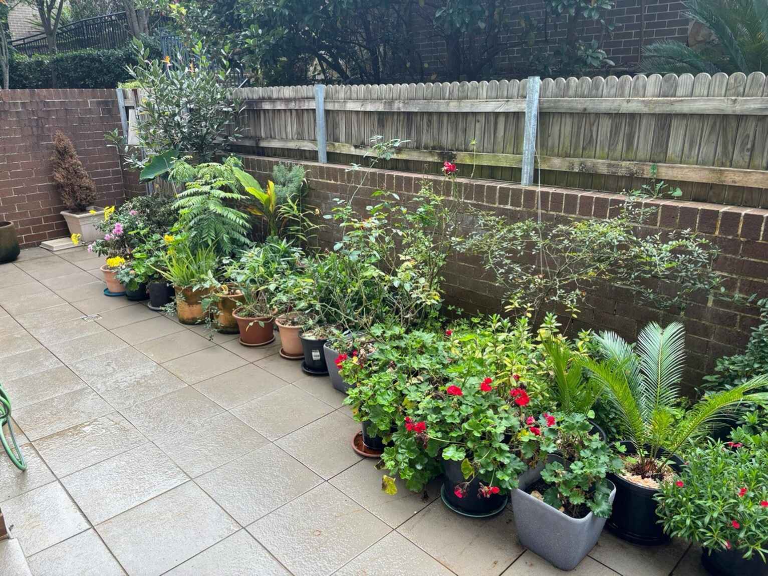 50/16-20 Mercer Street Castle Hill 50/16-20 Mercer Street Castle Hill